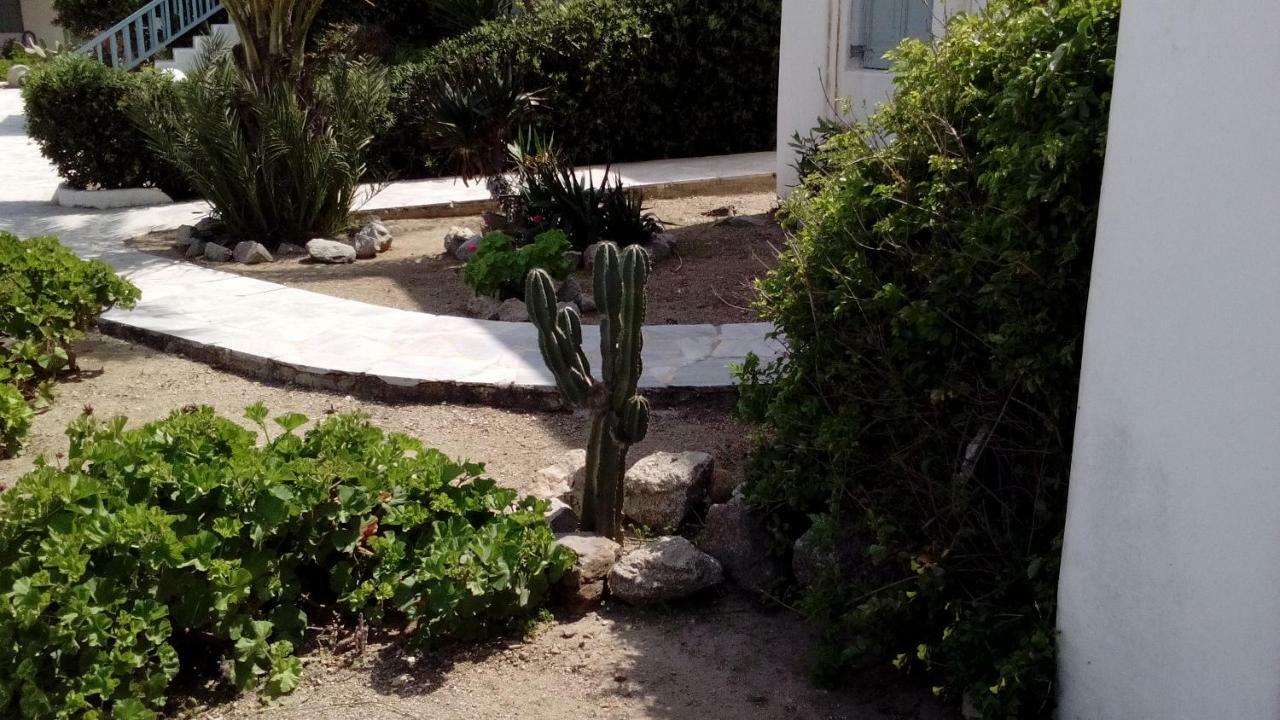 Apartmán Mykonian Aroma House Ornos  Exteriér fotografie